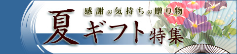 ���渵�ý�