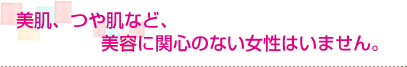 ��ȩ���Ĥ�ȩ�ʤɡ����Ƥ˴ؿ��Τʤ������Ϥ��ޤ���