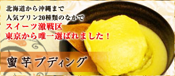 ̩��ץǥ���