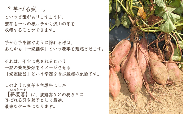 Ť뼰